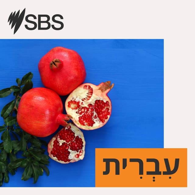 SBS Hebrew