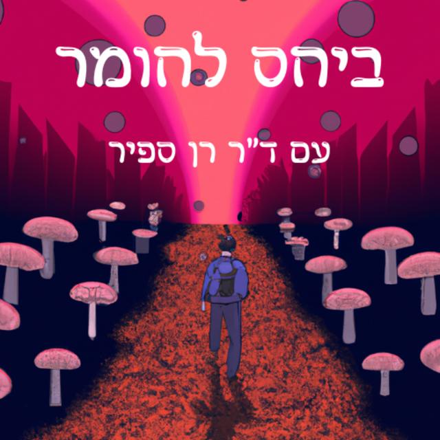 ביחס לחומר - ד"ר רן ספיר 