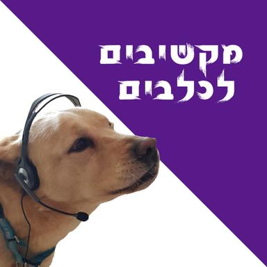 מקשיבים לכלבים