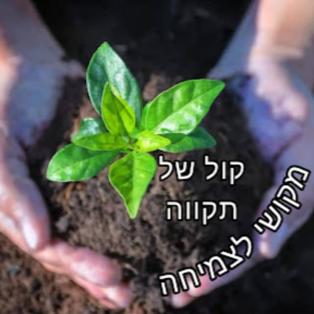 קול של תקווה