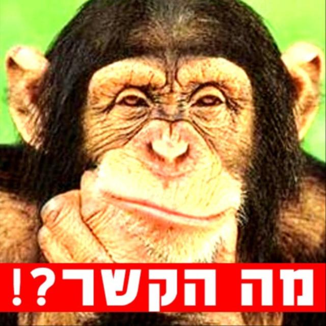 מה הקשר